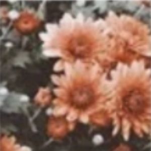 Meet your Posher, Ataley